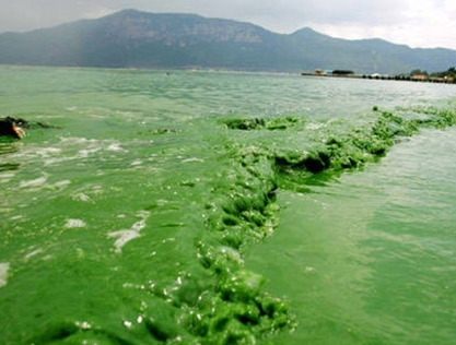 深圳水質(zhì)檢測 深圳水質(zhì)檢測
