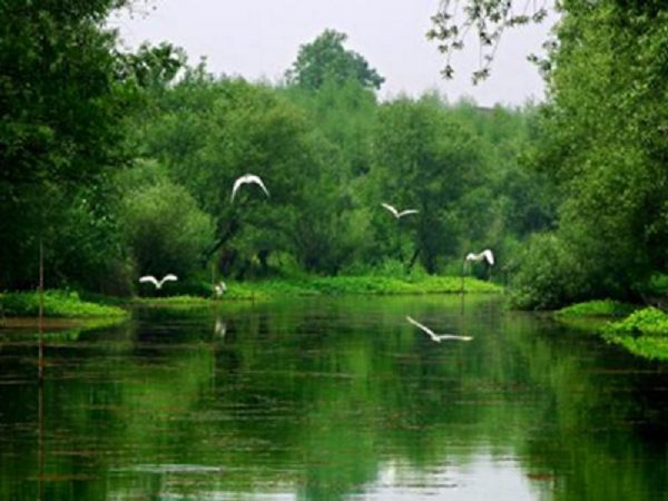 1643163340864248.jpg 31033059825921.jpg