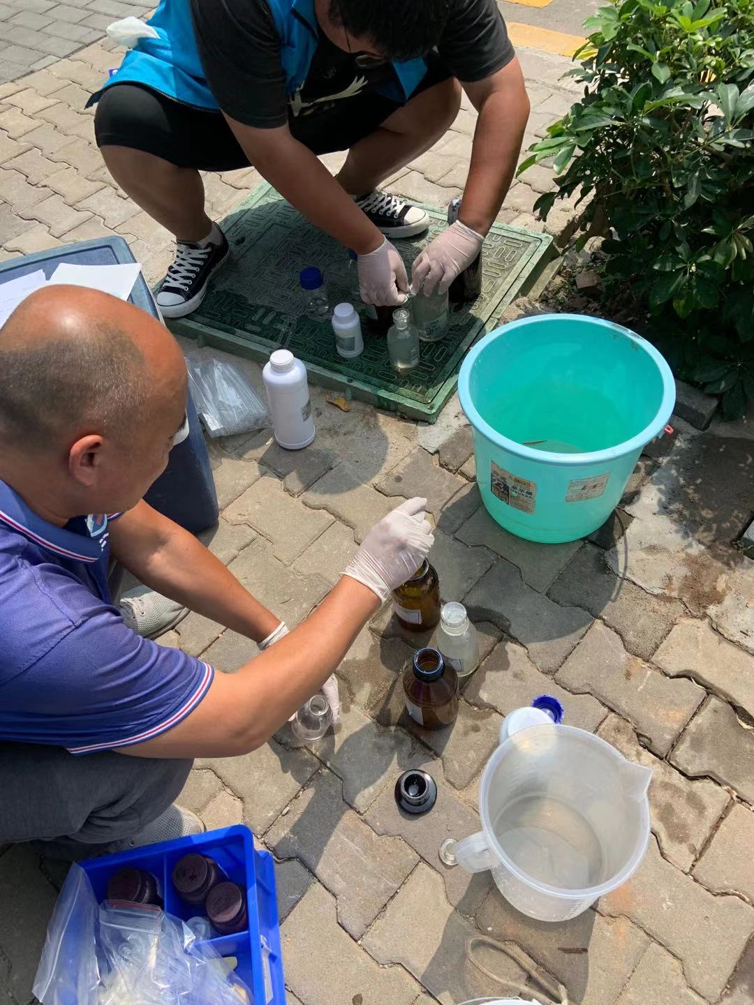 1665546062120178.jpg 28164037.jpg